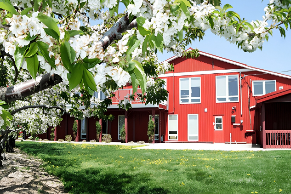 Niagara Weed & Wine Tours